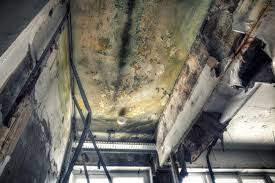 Best Residential Mold Inspection & Testing  in Heber Springs, AR